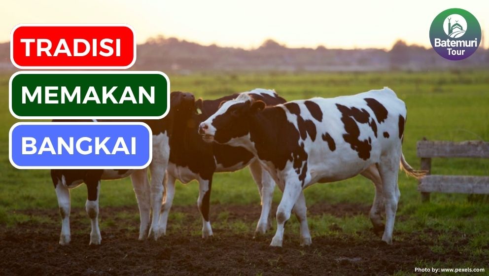 Mbrandu: Menggali Fenomena Tradisi Memakan Daging Bangkai dan Hukum Syariatnya