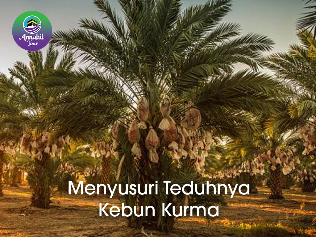 Menyusuri Teduhnya Kebun Kurma