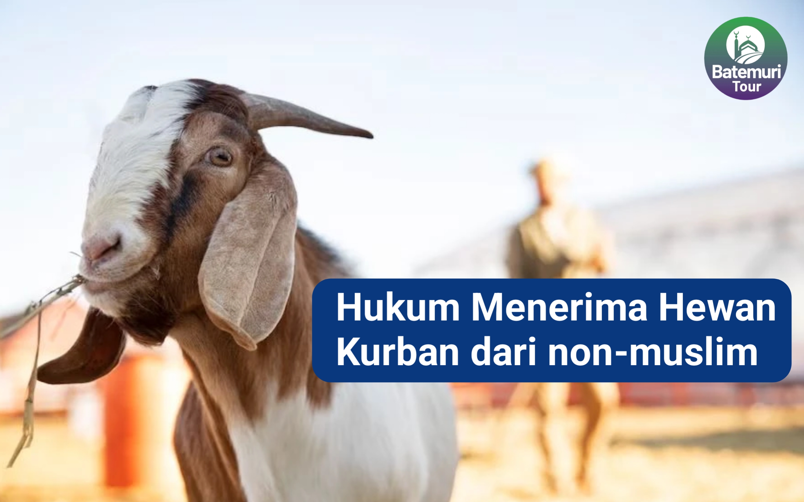 Bolehkan Menerima Hewan Kurban dari Nonmuslim, Bagaimana Hukumnya